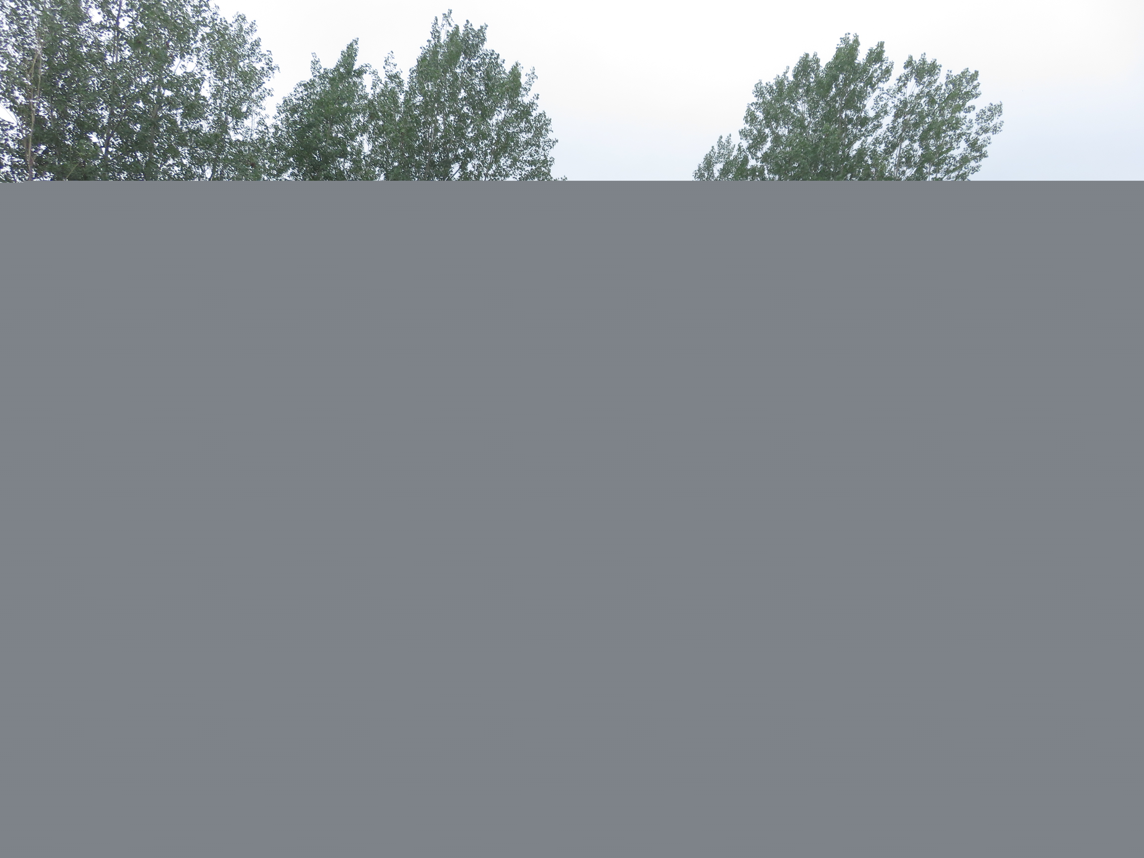 特運(yùn)牌DTA5180GFWD6型腐蝕性物品罐式運(yùn)輸車